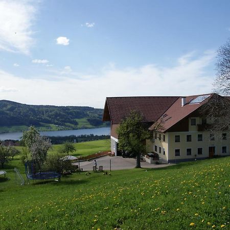 Ferienhof Edtmeier Zell am Moos Ngoại thất bức ảnh