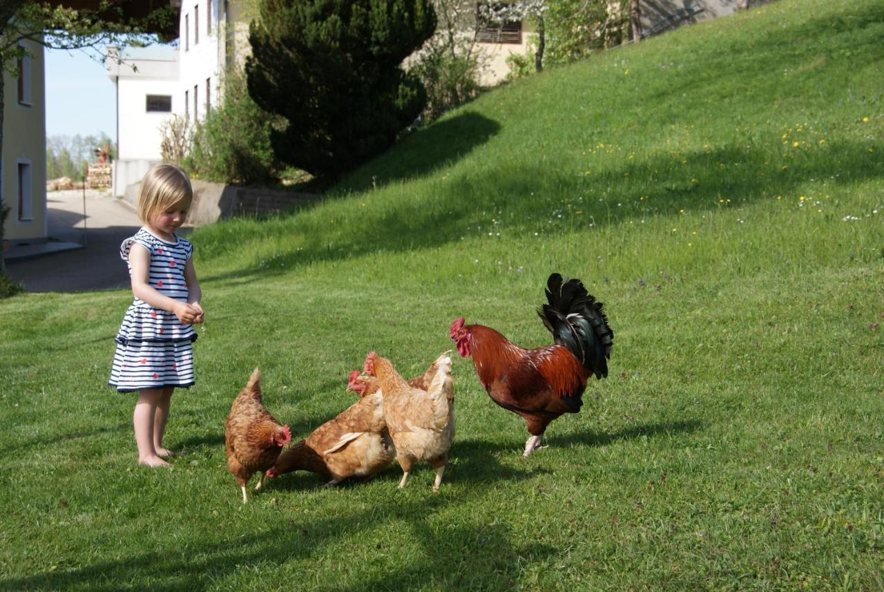Ferienhof Edtmeier Zell am Moos Ngoại thất bức ảnh